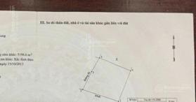 Bán đất nền CLN có thổ tại Gò Công Đông, Tiền Giang 5.500m2 (80 x72), MT kênh đường nhựa 1tr/m2