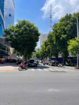 Bán gấp nhà đất lớn thích hợp xây tòa nhà đường Cô Bắc, Quận 1