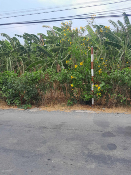 Đất góc 2 mặt tiền đường huyện nhựa Gò Công Tây, Tiền Giang. 1.400m2 sổ riêng 2tr/m2 thương lượng