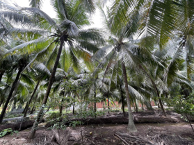 Chỉ cần 375tr có ngay 550m2 QH full thổ cư, gần sông, gần KDL sinh thái, ven Sài Gòn