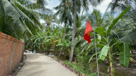 159 triệu mảnh đất vườn dừa mộc mạc ven SG ngay cù lao Tân Phú Đông luôn ạ. Thật 100%