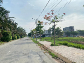 Chính chủ cần bán 122,5m2/ 495tr ở Đồng Thạnh, Gò Công, full thổ cư, có SHR