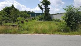 Bán 100m2 đất TC MTĐ Phạm Hùng, Tiền Giang gần chợ Trung An. Giá chỉ 650tr SHR