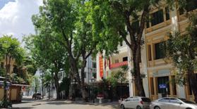 Bạn đang tìm văn phòng công chứng tại phố Nhà Chung, Hoàn Kiếm?