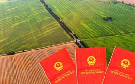 Nhiều trường hợp được cấp sổ đỏ mới từ 01/8/2024