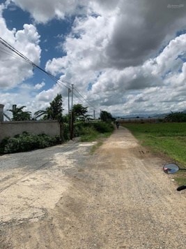 Cần bán 1 lô đất nông nghiệp giá rẻ (Ninh Phước)