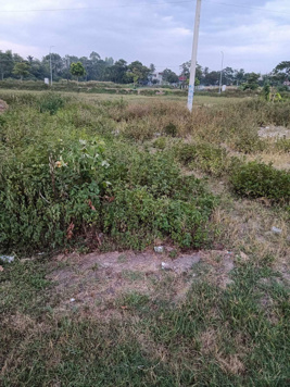 Chính chủ! Bán lô đất mặt đường 10 mới 100m2 lưu không 25m giá 2 tỷ