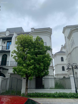 Biệt thự song lập Ngọc Trai Đảo Nhỏ 165,5m2 Tây Bắc gần hồ giá 36 tỷ Vinhomes Ocean Park Gia Lâm HN