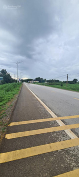 Bán đất đường Quốc Lộ 47 đối diện khu công nghiệp Lam Sơn Sao Vàng