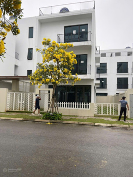 Em chính chủ cần bán nhanh biệt thự 3 tầng giá nhỉnh 11 tỷ