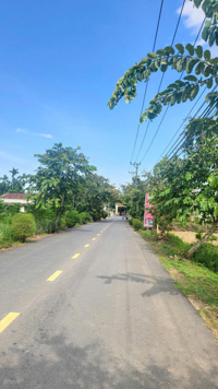 Cần bán nhà vườn rộng 2000m có 250m đất ở đường nhựa rộng 7m làm biệt thự nghỉ dưỡng rất đẹp mát mẻ