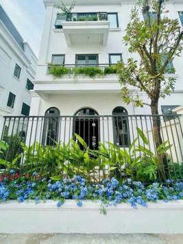 Quỹ Căn Biệt Thự Solasta Mansion Trực Tiếp Chủ Đầu Nam Cường, Chiết Khấu 12%, HTLS 70%