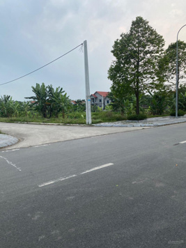 Đất Ninh Giang - Hoa Lư diện tích 400m2 x 20m mặt vị trí gần trường THCS Ninh Giang