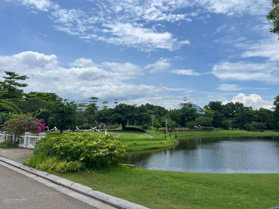 Bán đất biệt thự vua mặt hồ Flamingo đại lải vip của Flamingo