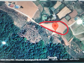 Bán 5445m2 đất Bản Vặt, Mường Sang, Mộc Châu, thế đất đẹp, giáp thị trấn, để ở, homestay trang trại