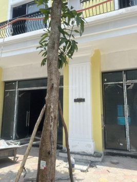 Chính chủ gửi bán căn dãy liền kề 75m2 phố đi bộ Tài Lộc Vinhomes Vũ Yên 10,8tỷ