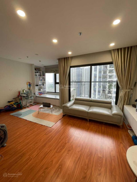 Tôi chính chủ cần bán cả 2 căn: 2PN, 59m2, 2 tỷ 650 / 2PN + 1, 69m2 - 3.8 tỷ, Vinhomes Smart City