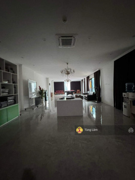 Mặt tiền 12m - Không thể tin được - mặt phố Nguyễn Ngọc Vũ, phường Trung Hòa, quận Cầu Giấy