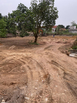 Giá F0 siêu rẻ chỉ từ 3,X tr/m2 - mở bán khu biệt thự tại dự án Ngọc Thanh NBD Village