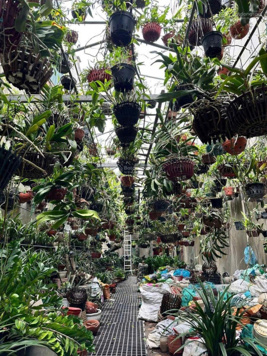 Bán nhà 2 tầng mặt phố Hoàng Hoa Thám. 90m2. Giá 22,5 tỷ. Vị trí đắc địa, nói không với quy hoạch