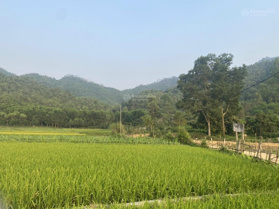 Bán trang trại khu nghỉ dưỡng tại xã Ngọc Thanh, Phúc Yên, Vĩnh Phúc - giá 3 tỷ vnd, 1300m2