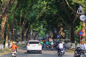 Siêu hời 38,5tỷ mặt phố vip Phan Đình Phùng, Ba Đình - Mảnh đất tuyệt vời xây văn phòng-kinh doanh