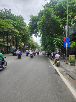 237 tr/m2! MP gần Lò Đúc, 506m2, MT 15m, thửa đẹp vuông vắn