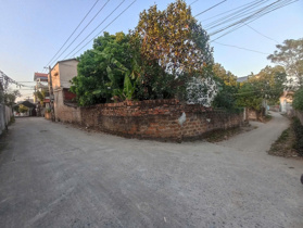  Bán Đất siêu hiếm ở Đông Ngạc 96m2, MT 4,1m để ở giữ tiền hoặc đầu tư cho tương lai