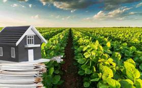 Chi phí chuyển đất vườn lên đất thổ cư hết bao nhiêu?