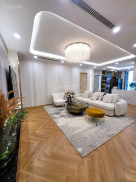 Cần bán căn hộ đập thông Park Hill, diện tích gần 200m2