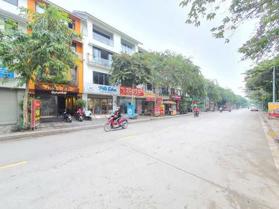 Cần bán một cặp nhà phố trục chính khu đô thị Geleximco, Dương Nội. (kinh doanh tốt)