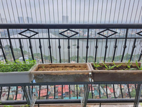 Bán CH: Eco Lake View DT: 75m2 2PN2WC, BC: Đông Nam, tầng trung view hồ, full nội thất 4tỷ5 có TL