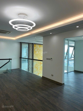 Chính chủ bán căn hộ Duplex Penthouse Roman diện tích 190m2 full nội thất giá 10 tỷ LH 0336 730 352