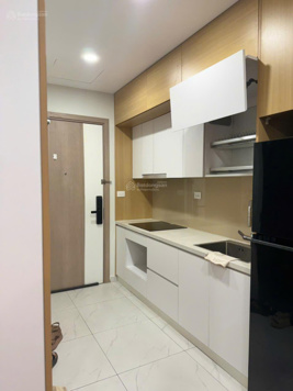 Bán căn hộ 2PN 54m, giá 3,3 tỷ full đồ Vinhomes Smart