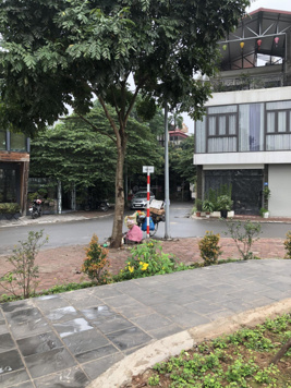 Lô góc 66.5m2 đất đẹp khu phố Gia Quất, kinh doanh tốt, đường oto tránh vỉa hè rộng, Giá 11.7 tỷ