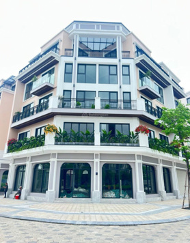 Quỹ căn liền kề 2 mặt tiền phân khu lõi ký trực tiếp CĐT. Chiết khấu cao, hỗ trợ trả chậm 36 tháng