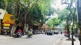 Bán nhà mặt phố Dương Quảng Hàm - Cầu Giấy 100m2 x 3T mặt tiền 4.4m vỉa hè rộng, kinh doanh sầm uất