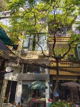 Gấp! Bán nhà riêng 35m2 tại Phố Quốc Tử Giám, Đống Đa, giá 8,6 tỷ, nhà đẹp