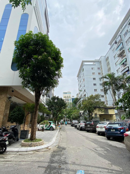 Bán tòa nhà nhà Trần Thái Tông 300m2 x 8 tầng mặt tiền 10m ô tô chạy quanh nhà giá tốt