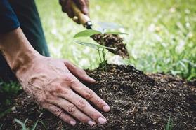 Đất trồng cây hàng năm và đất trồng cây lâu năm có gì khác nhau?