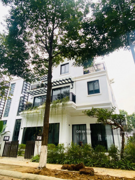 Quỹ độc quyền chuyển nhượng biệt thự Xanh Villas khu A,B,C 260m2 400m2 1200m2 từ C1-C15 từ 11.5 tỷ