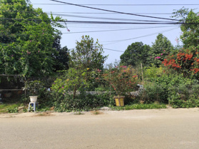 Chính chủ em mở bán lô đất hoa hậu Áp Phan Đông Yên giá hợp lý kinh doanh buôn bán