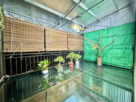 Siêu phẩm 7 tầng thang máy 65m2 - view Hồ Linh Quang - ngõ thông oto tránh - kinh doanh sầm uất