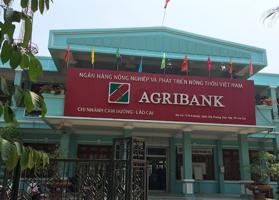 Thông tin địa chỉ PGD Agribank Quang Trung, Đống Đa