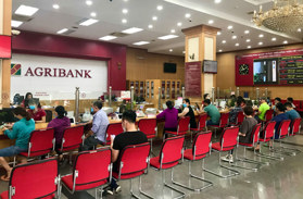 Thông tin địa chỉ PGD Agribank số 24, Đống Đa