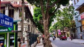 Cần bán nhà phân lô quân đội phố Lý Nam Đế, Hoàn Kiếm. DT 75m2 x 5T, MT 4,5m. Ngõ to - Cách MP 50m