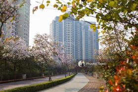 Căn hộ Ciputra Hà Nội cần bán trong tháng 11 . LH 0972 362 948