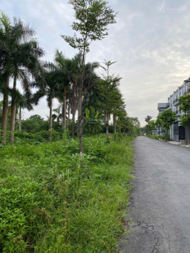 Chính chủ tên sổ đỏ bán shophouse Hateco Green Park đường 40m, 120m2 xây 4,5 tầng