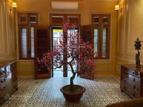 Phố cổ Hà Thành - Biệt thự song lập - lô góc - ô tô - đẳng cấp người sở hữu