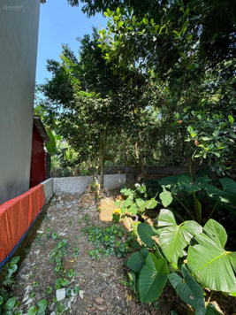 SIÊU PHẨM DUY NHẤT TẠI XÃ CỔ ĐÔNG, BÁN ĐẤT 148M2 GIÁ 2X tr/m